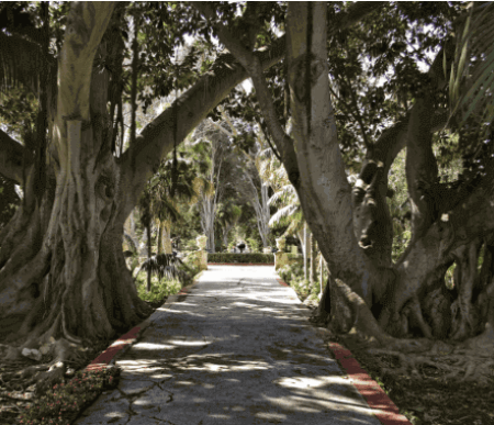 #II - San Anton Gardens, Mdina & Rabat Tour